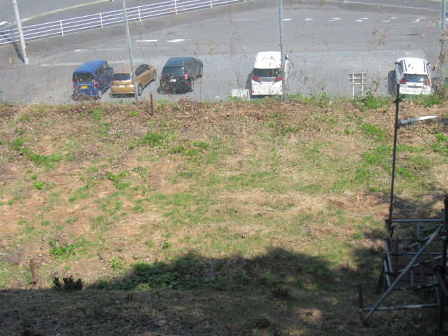 IMG_1569 IMG_1569