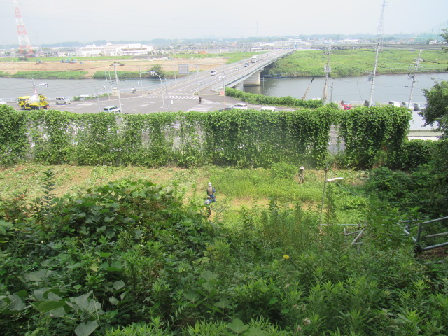 IMG_1114 IMG_1114