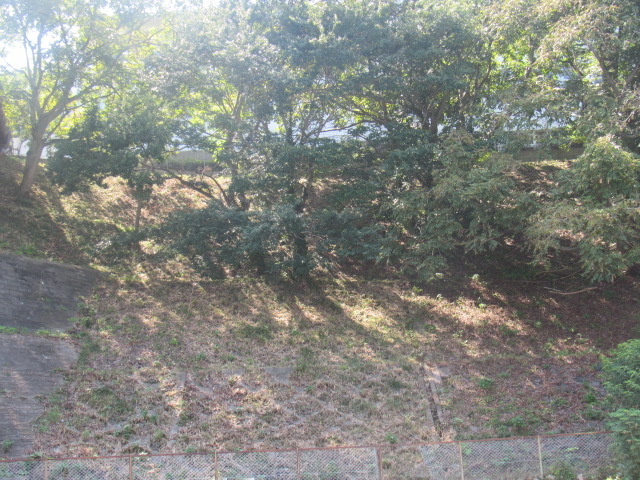 IMG_1575 IMG_1575