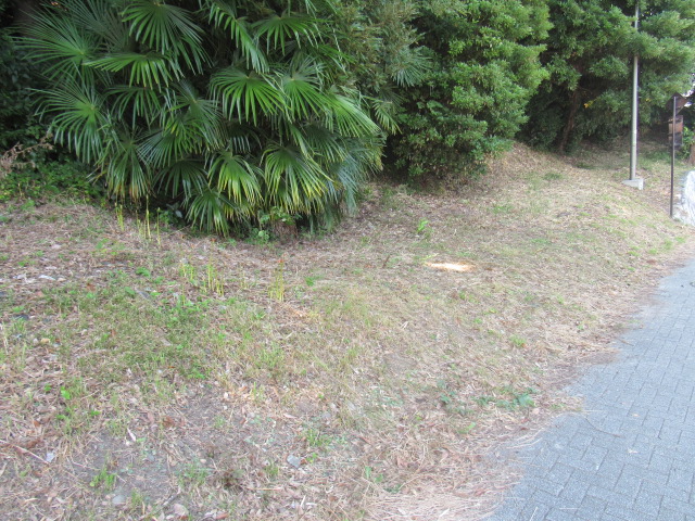 IMG_1573 IMG_1573