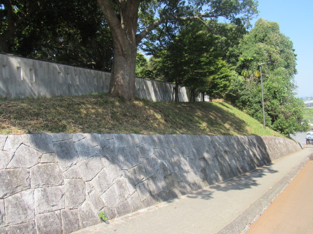 IMG_1572 IMG_1572