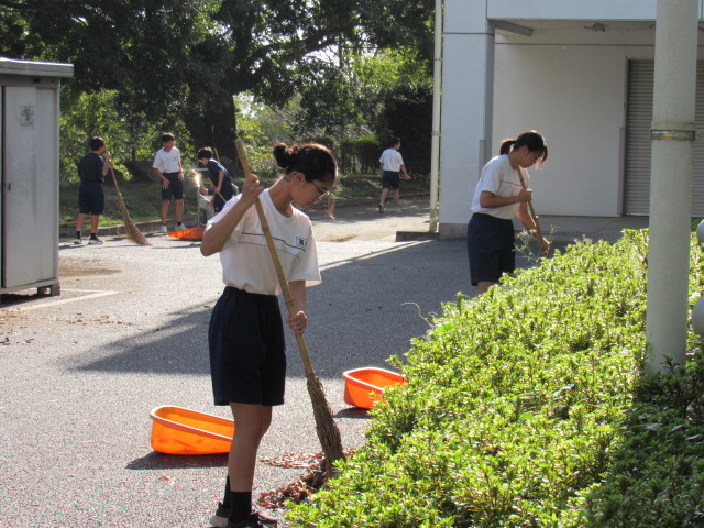 IMG_3663 IMG_3663