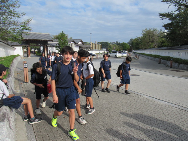IMG_3797 IMG_3797