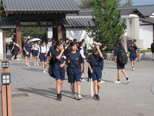 IMG_3796 IMG_3796