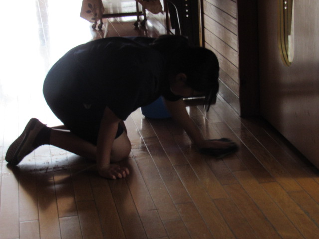 IMG_3764 IMG_3764
