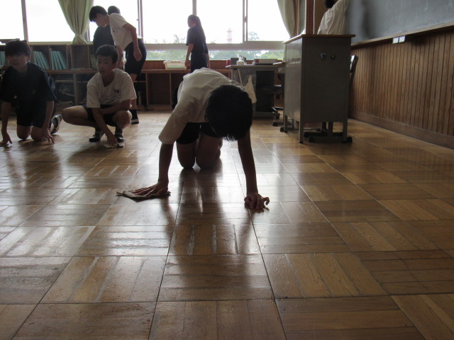 IMG_3768 IMG_3768