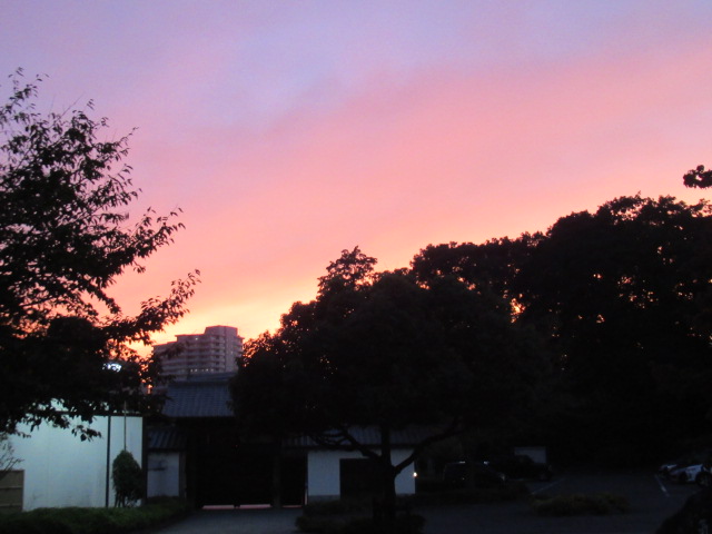 IMG_3781 IMG_3781
