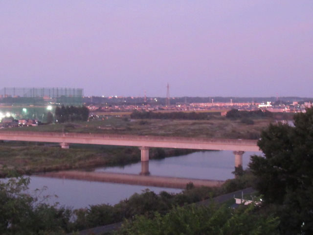 IMG_3784 IMG_3784