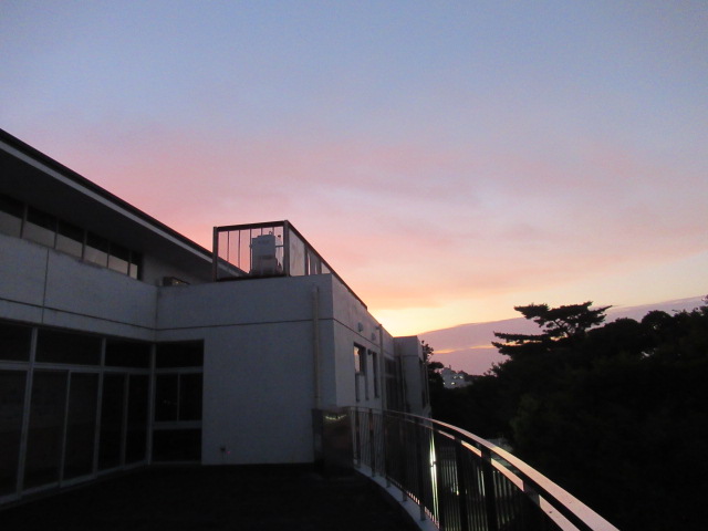 IMG_3785 IMG_3785