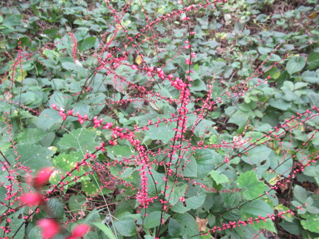 IMG_3844 IMG_3844