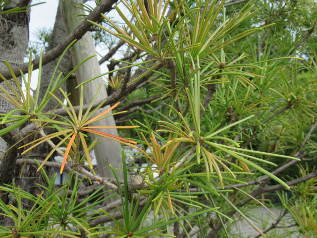 IMG_3902 IMG_3902
