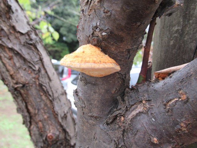 IMG_3904 IMG_3904