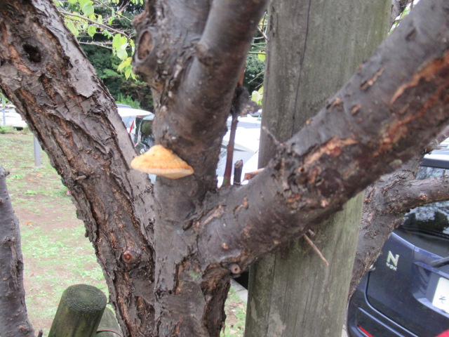IMG_3905 IMG_3905