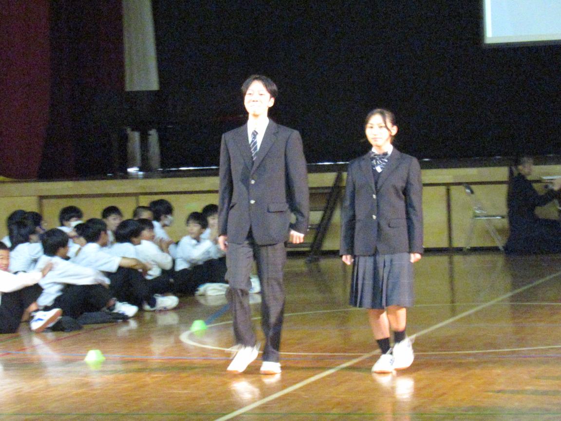 IMG_4288 IMG_4288