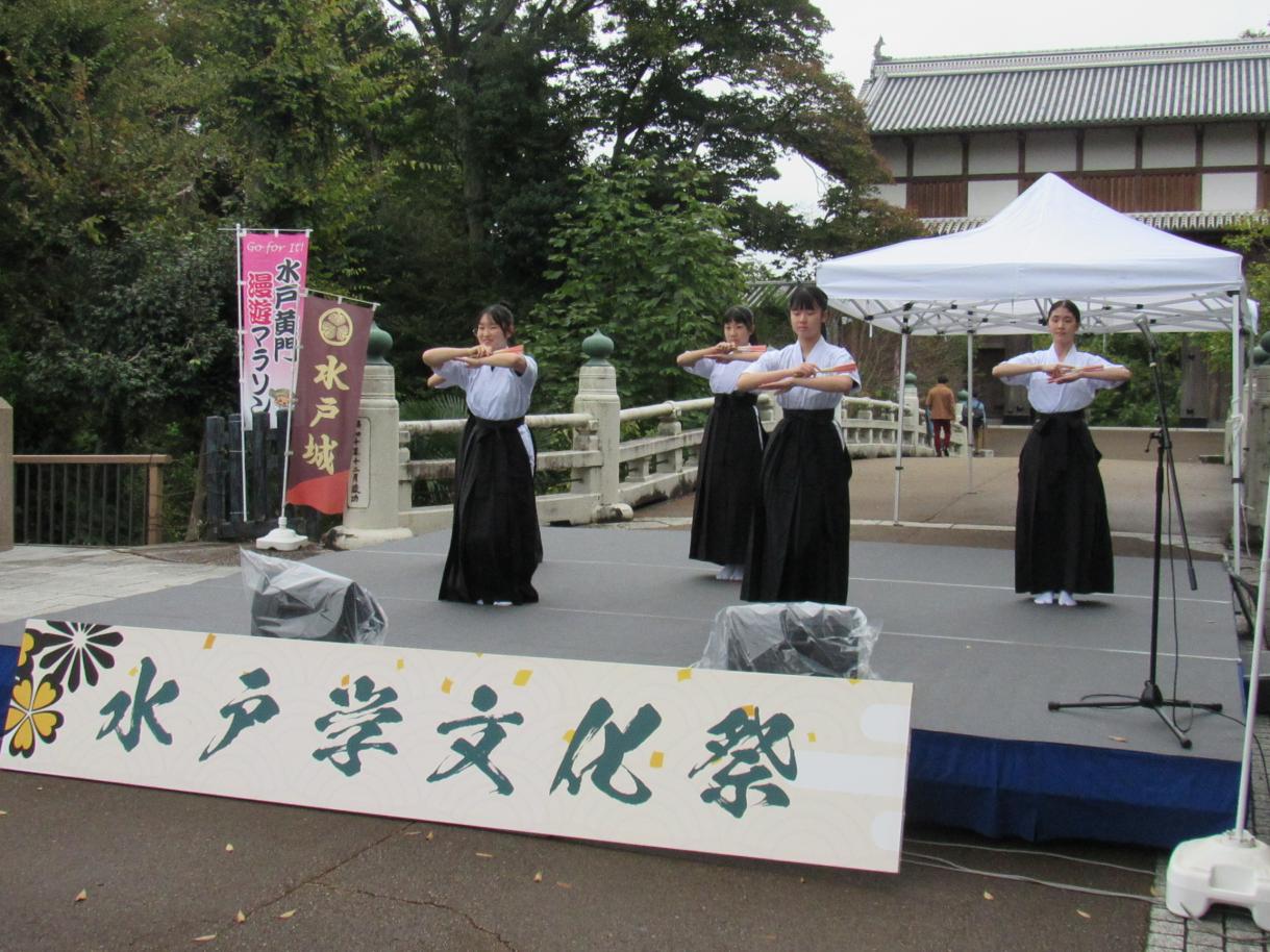 IMG_4582 IMG_4582