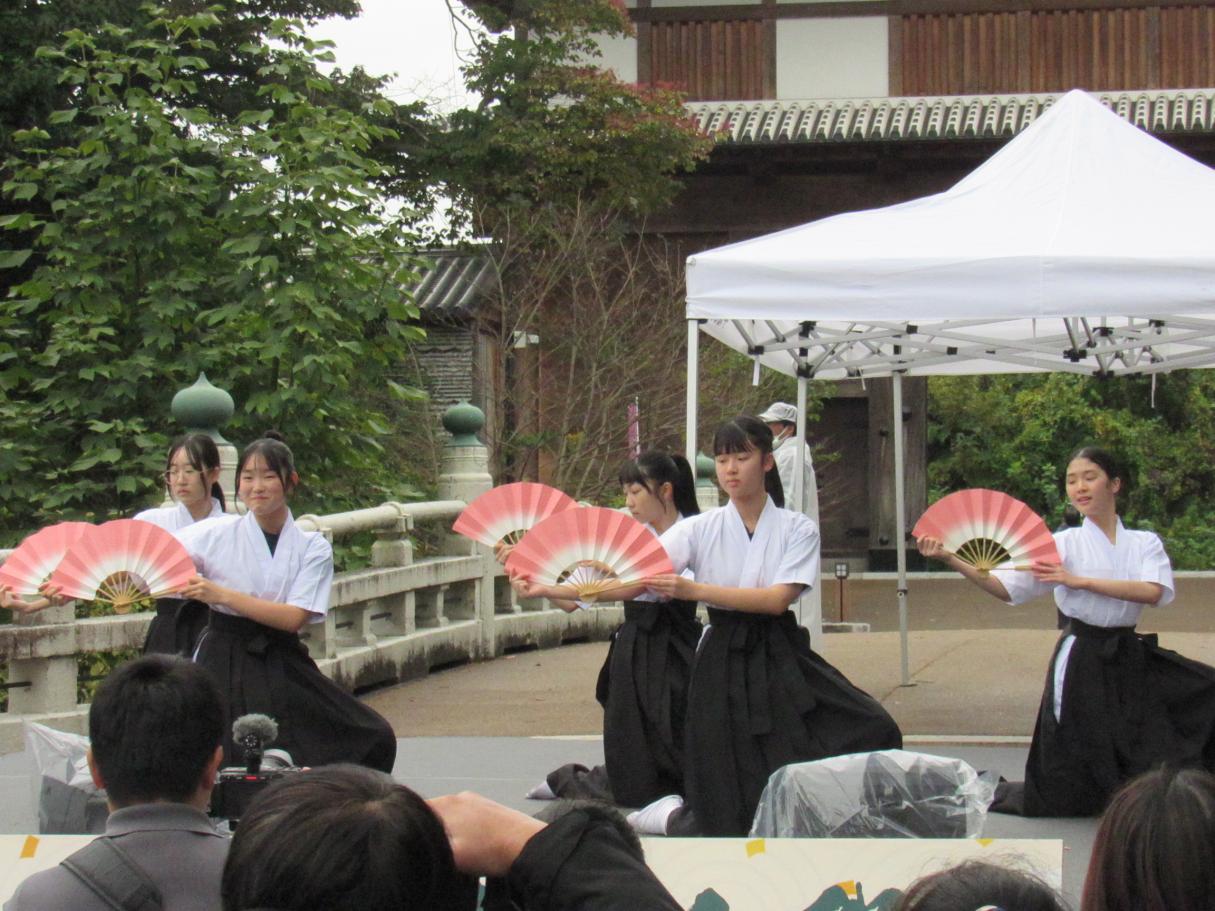 IMG_4602 IMG_4602