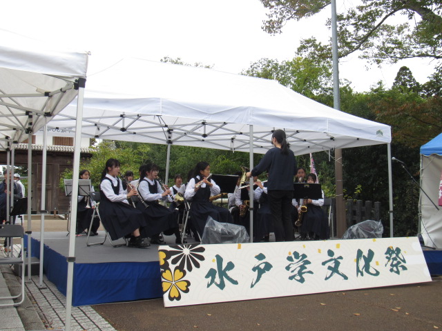IMG_4706 IMG_4706