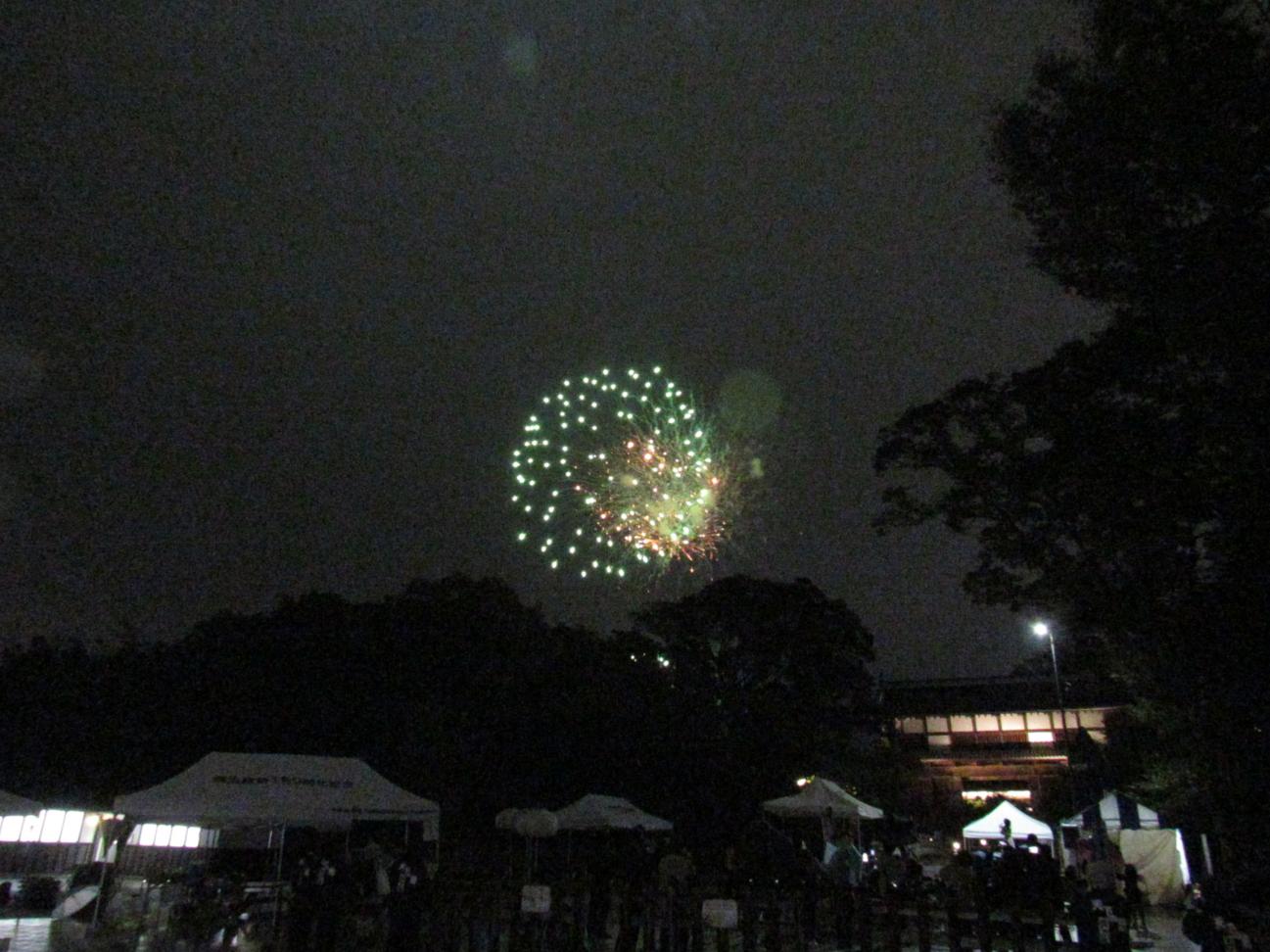 IMG_4773 IMG_4773