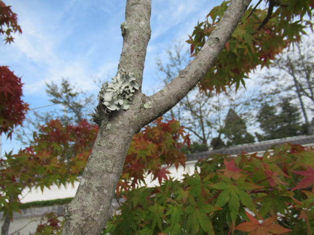 IMG_3925 IMG_3925