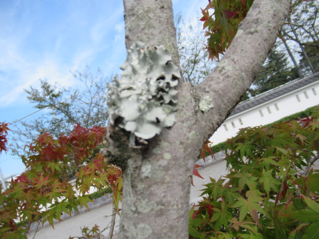 IMG_3924 IMG_3924