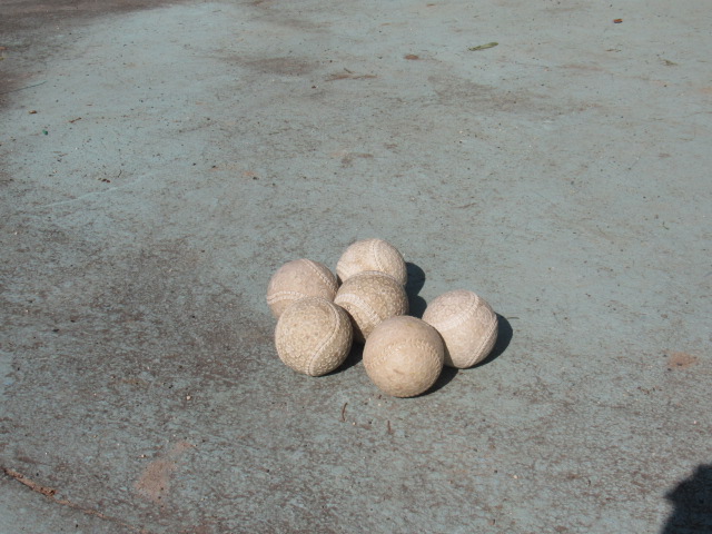 IMG_5464 IMG_5464