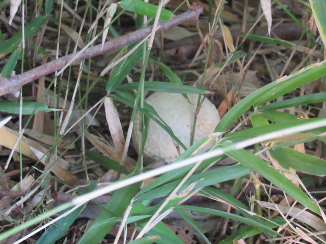 IMG_5457 IMG_5457