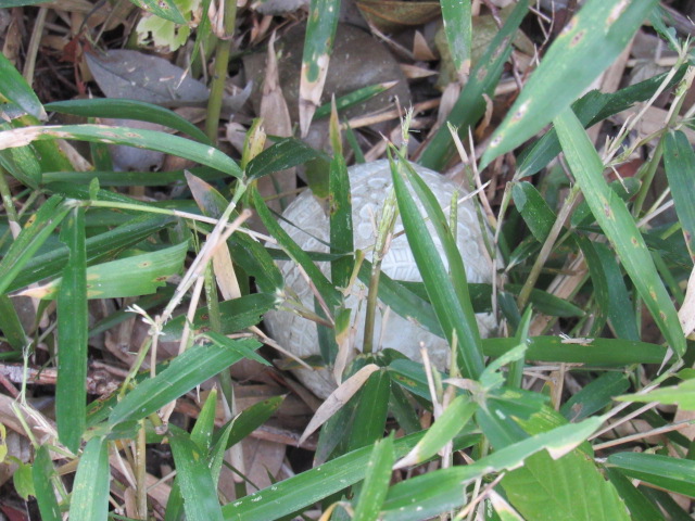 IMG_5460 IMG_5460