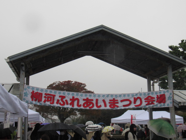 IMG_5584 IMG_5584