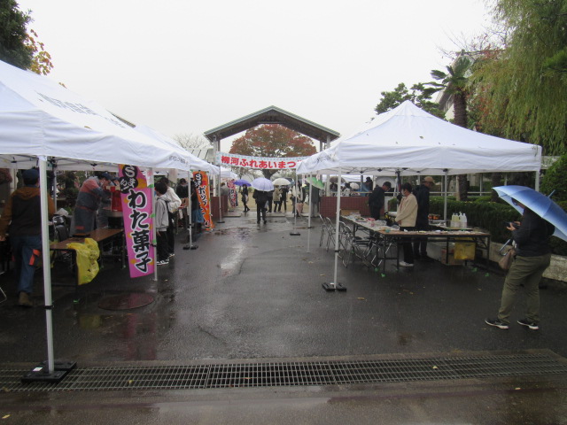 IMG_5583 IMG_5583