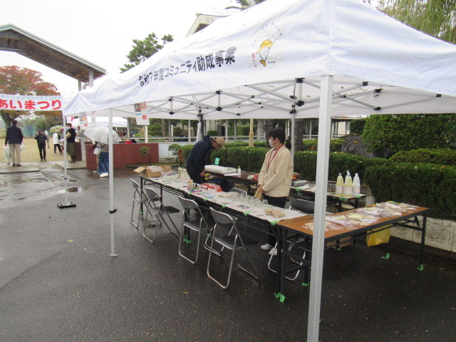 IMG_5580 IMG_5580