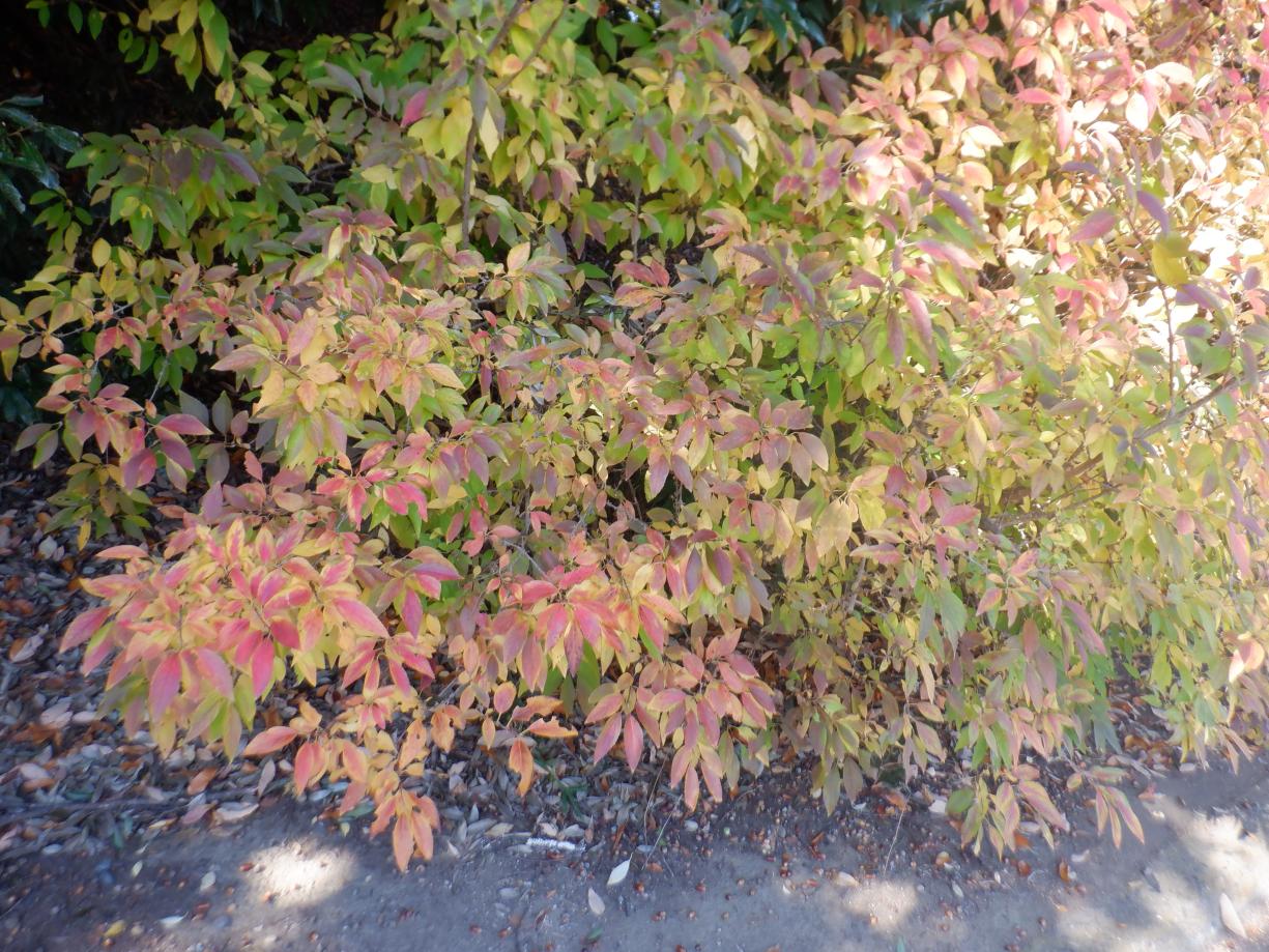 DSCF1164 DSCF1164