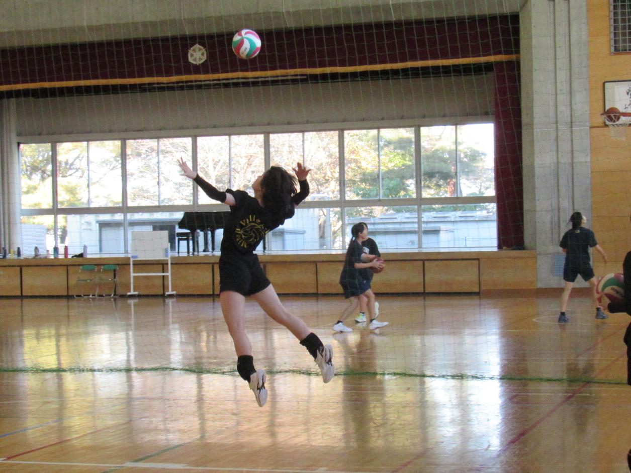 IMG_5726 IMG_5726
