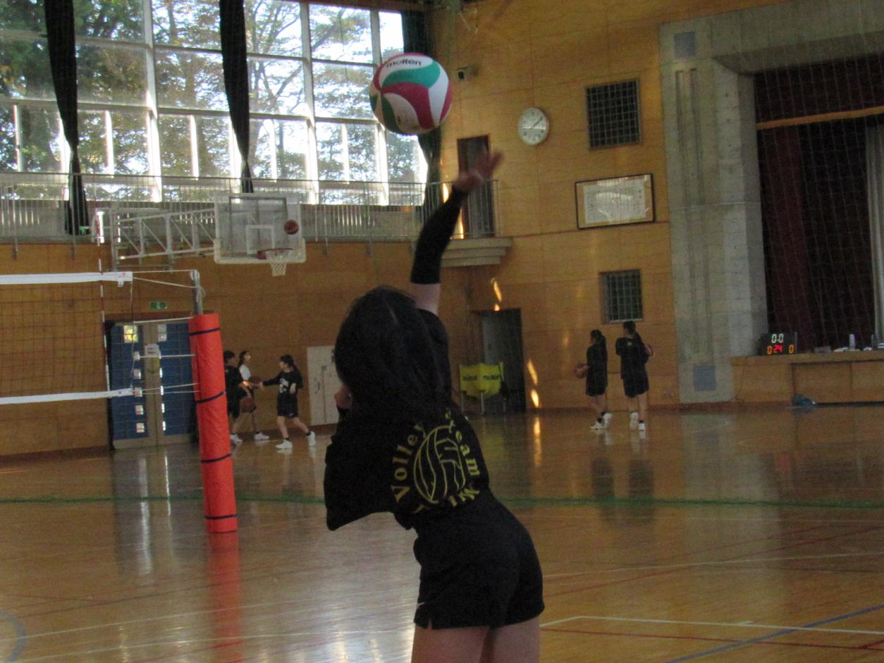 IMG_5733 IMG_5733