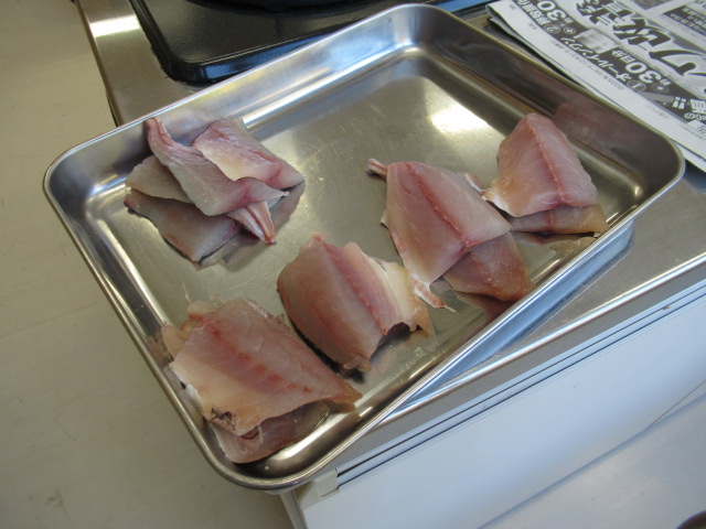 IMG_3955 IMG_3955