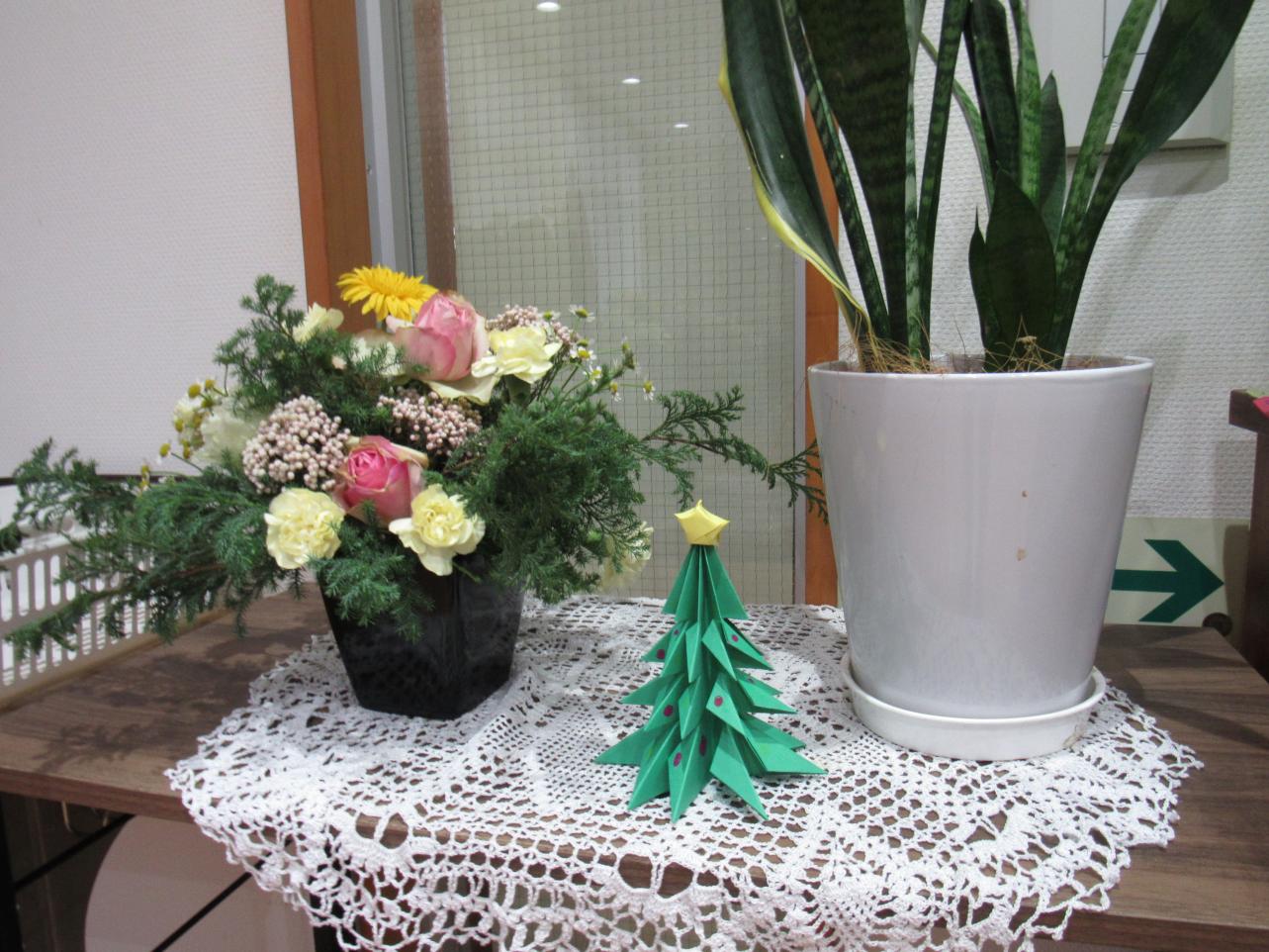 IMG_6479 IMG_6479