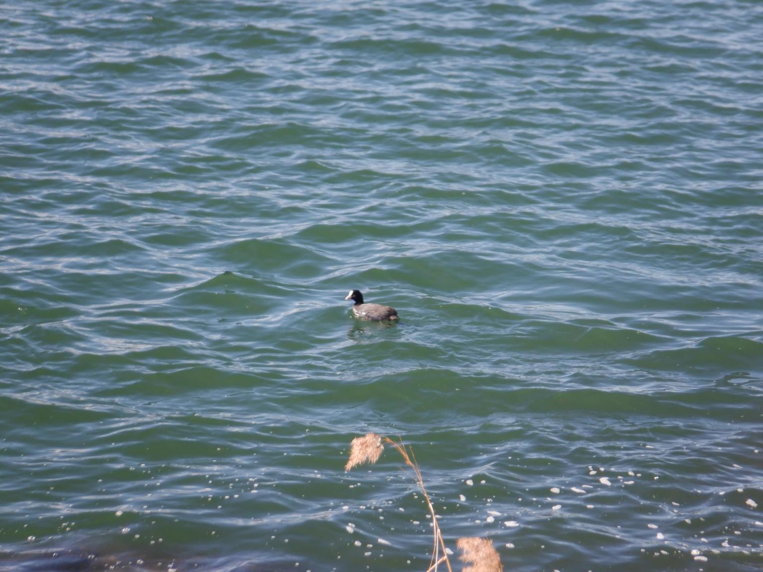 DSCF1277 DSCF1277