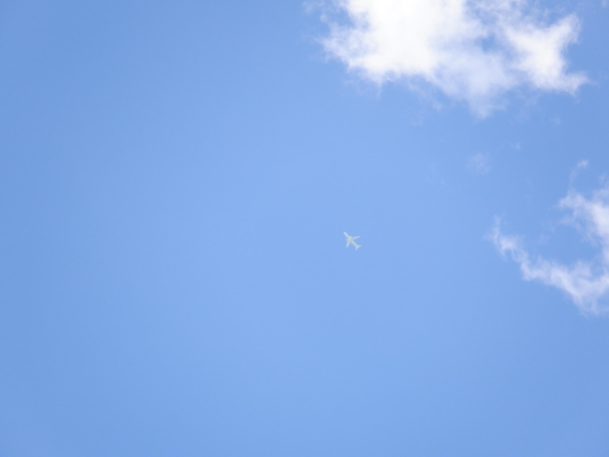 DSCF1282 DSCF1282