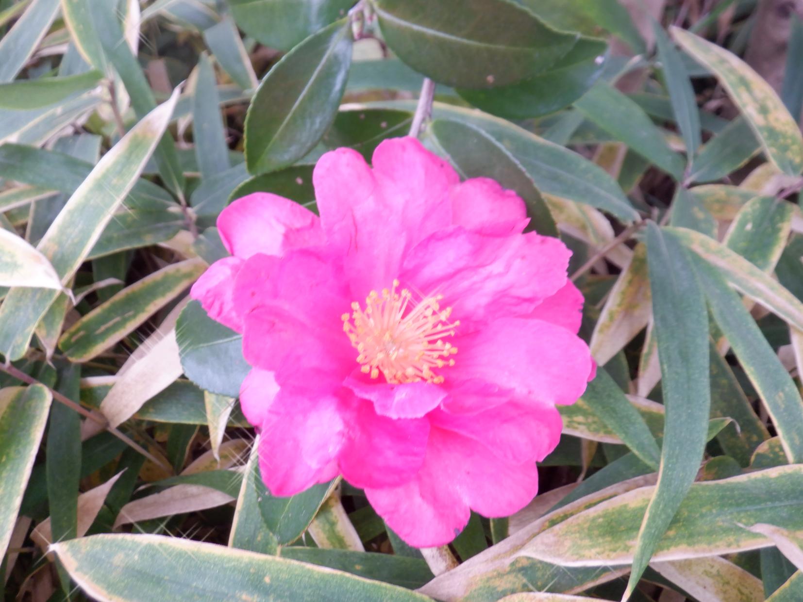 DSCF1299 DSCF1299