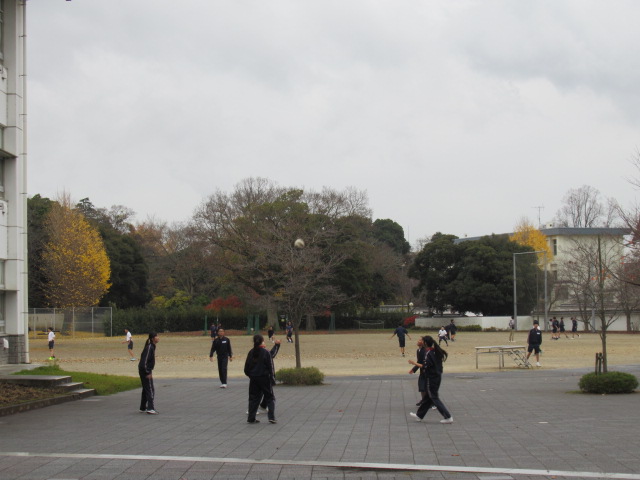 IMG_3971 IMG_3971