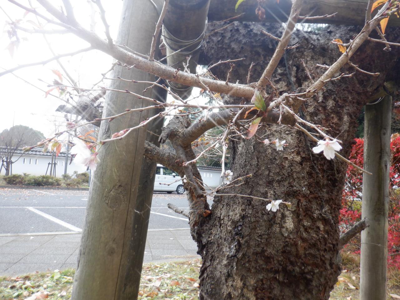 DSCF1297 DSCF1297