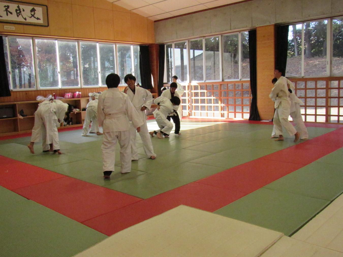 IMG_7368 IMG_7368