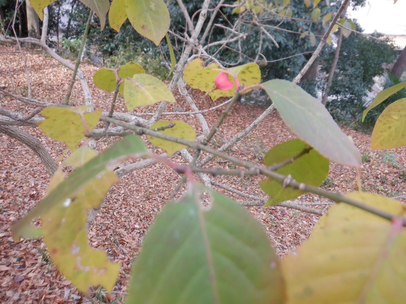 DSCF1311 DSCF1311