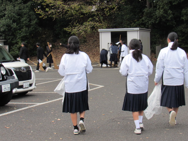 IMG_7431 IMG_7431