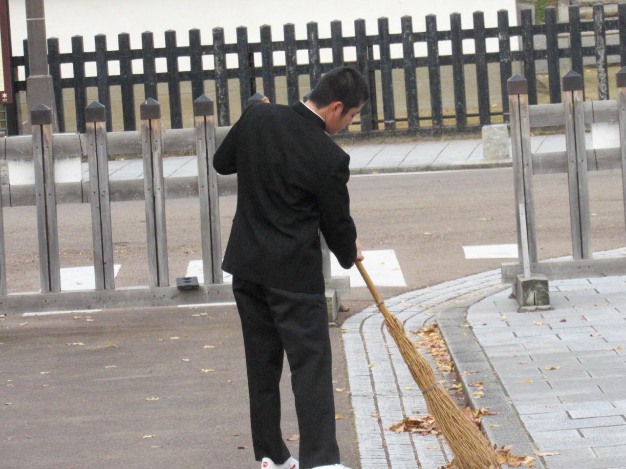 IMG_7462 IMG_7462