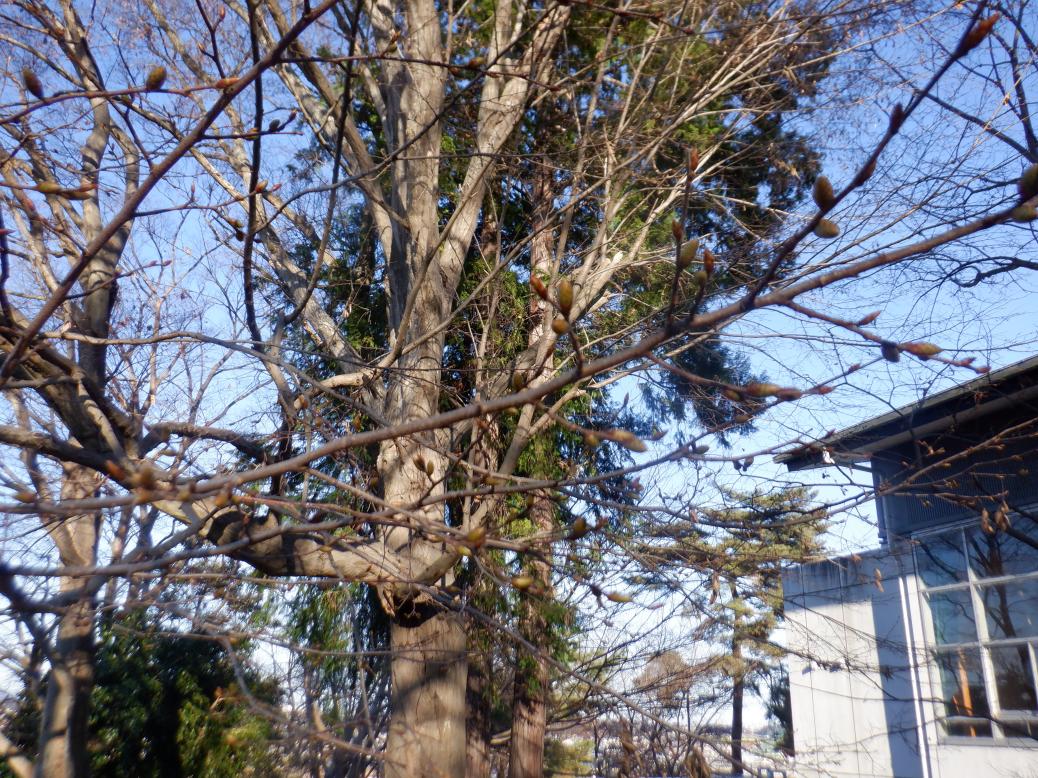 DSCF1329 DSCF1329