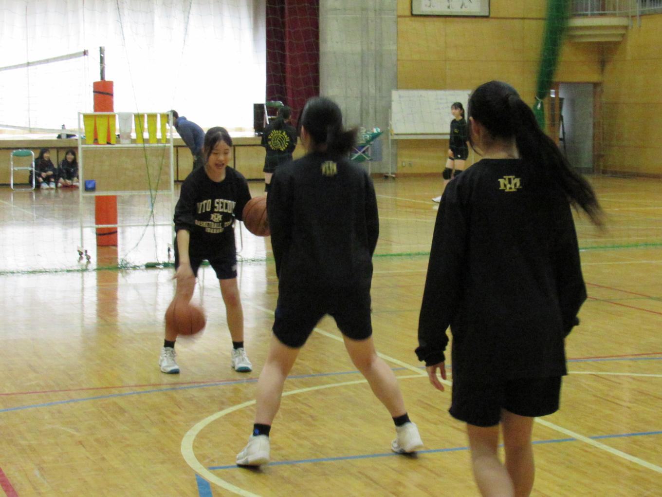 IMG_8215 IMG_8215