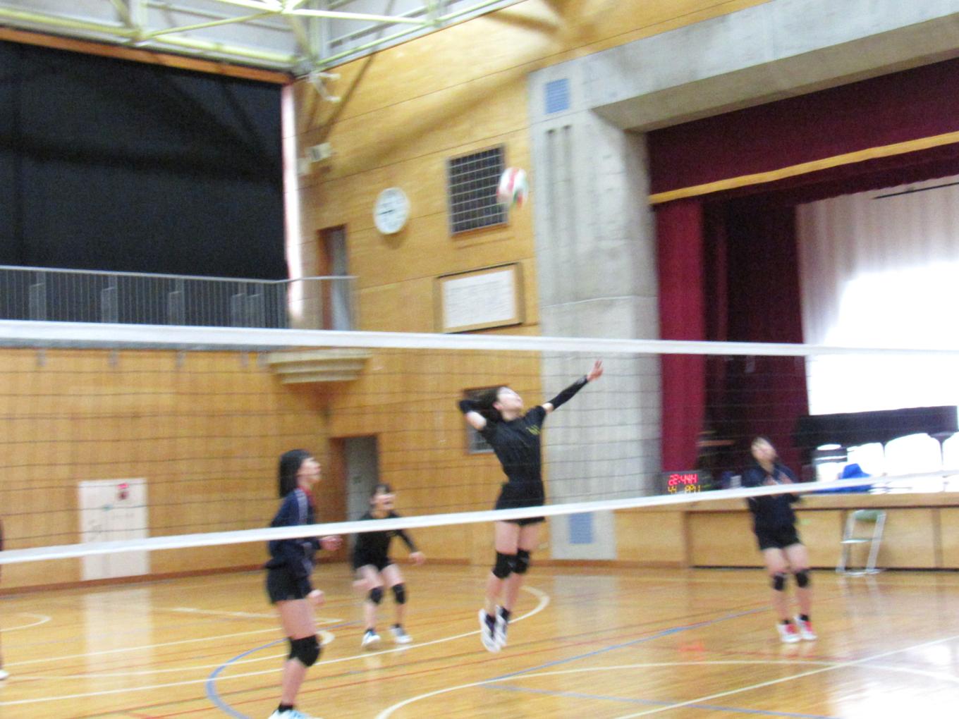 IMG_8290 IMG_8290