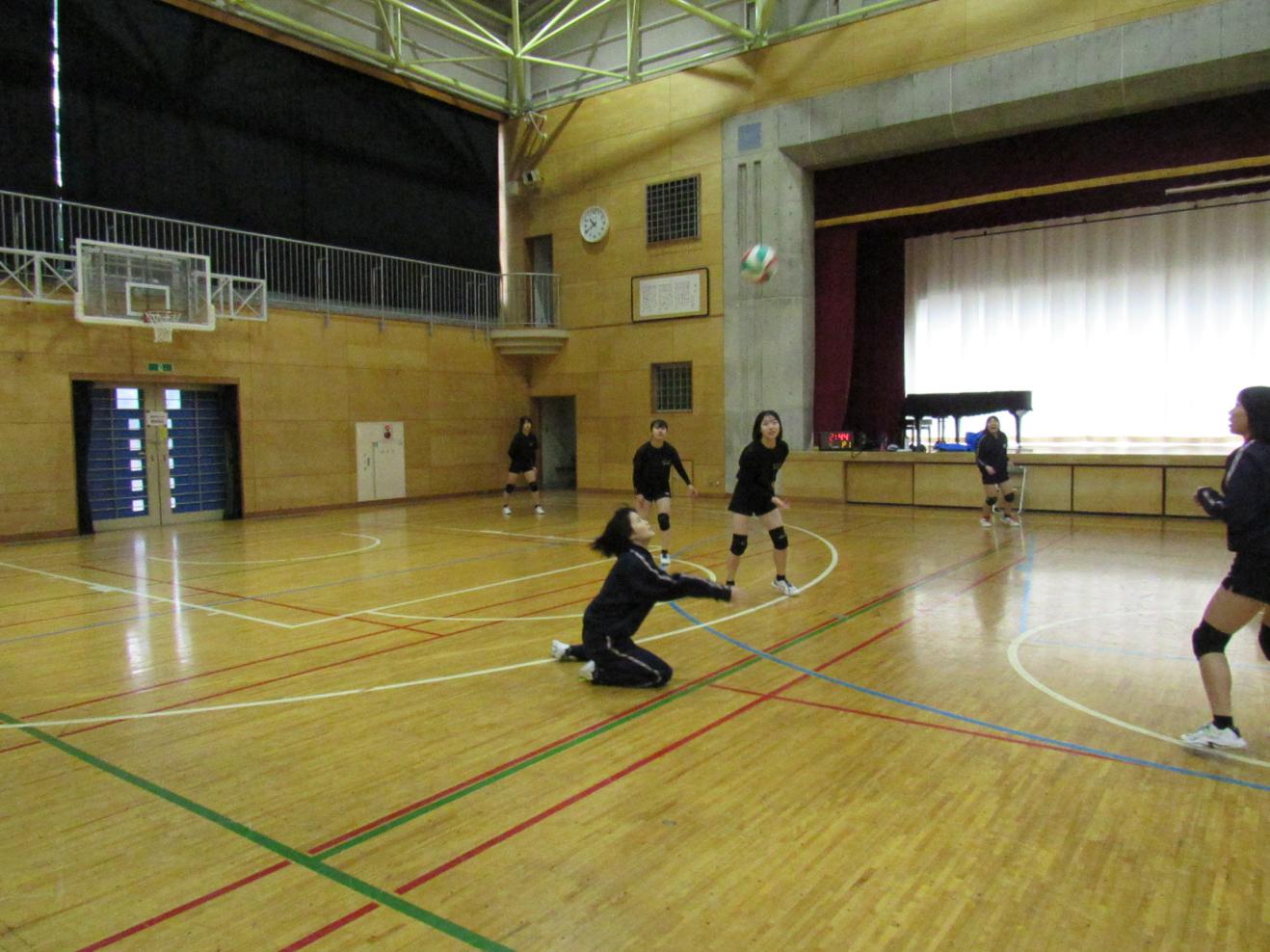 IMG_8236 IMG_8236