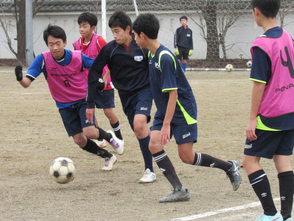 IMG_8148 IMG_8148