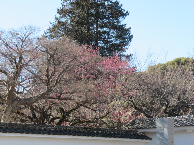 IMG_4077 IMG_4077